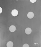 Graphene Oxide on Quantifoil R2/4 200 mesh Cu grids, pack of 10