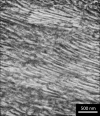 SPI Cobalt Thin-Sectioned Metal Foil Standard for AEM/ESD on Molybdenum Grid - - alt view 1