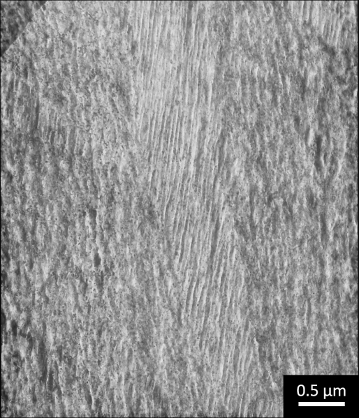 SPI Cobalt Thin-Sectioned Metal Foil Standard for AEM/ESD on Molybdenum Grid