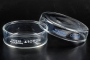 Petri Dishes, Pyrex, 60 mm Dia x15 mm Deep, Pack (12)