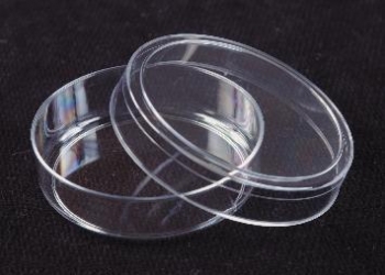 SPI Supplies Brand Disposable Plastic Petri Dishes, Polystyrene 55x15 mm