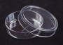 SPI Supplies Brand Disposable Plastic Petri Dishes, Polystyrene, ~55x15 mm, Pack of 100