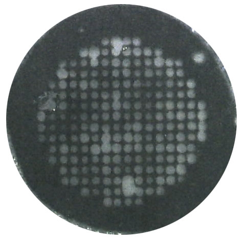 SPI Tungsten Thin-Sectioned Metal Foil Standard for AEM/EDS on a Beryllium Grid