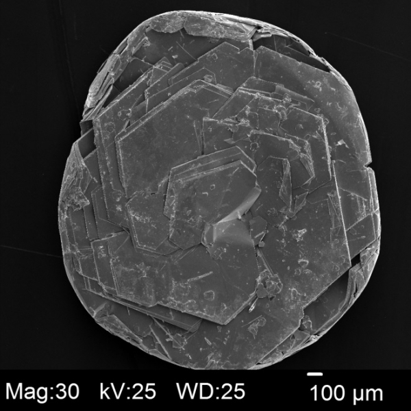 Tungsten Disulfide (WS<sub>2</sub>), 1 Single Crystal Piece, 10mm<sup>2</sup>