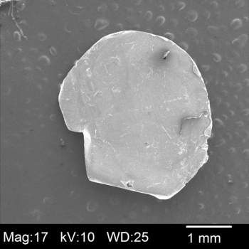 Tungsten Diselenide (WSe<sub>2</sub>), 1 Single Crystal Piece, 10mm<sup>2</sup>