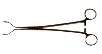 Forceps - Straight Shank, 229mm Long