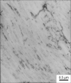SPI Aluminum Thin-Sectioned Metal Foil Standard for AEM/EDS on Nickel Grid - - alt view 3