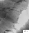 SPI Indium Thin-Sectioned  Metal Foil Standard for AEM/EDS on Copper Grid - - alt view 3