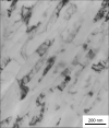 SPI Aluminum Thin-Sectioned Metal Foil Standard for AEM/EDS on Nickel Grid - - alt view 2