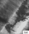 SPI Indium Thin-Sectioned  Metal Foil Standard for AEM/EDS on Copper Grid - - alt view 2