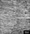 SPI Cobalt Thin-Sectioned Metal Foil Standard for AEM/ESD on Molybdenum Grid - - alt view 2