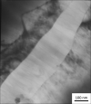 SPI Indium Thin-Sectioned  Metal Foil Standard for AEM/EDS on Copper Grid - - alt view 1