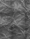 SPI-Chem Wet Surface Replica Kit Including Resin, Catalyst, Powder, and Instructions - - alt view 1