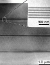 MAG*I*CAL Calibration Specimen for Transmission Electron Microscopes - - alt view 1