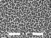 SPI Supplies Brand Sputtered Gold on 200 Mesh Copper Grid TEM Test Specimen - - alt view 1