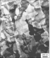SPI Tin Thin-Sectioned Metal Foil Standard for AEM/EDS on Copper Grid - - alt view 1