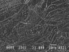 Tin on HOPG Pin Mount - - alt view 1
