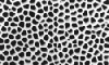 Anodisc 25mm 0.02 &micro;m Aluminum Oxide Membrane Filters, Pack of 50 - - alt view 1