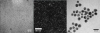 NanoNeutral Grids: Hydrophilic, neutral charge grid; 50 x 50&micro;m 25nm thickness; Pack of 10 - - alt view 1
