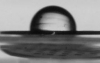 NanoHydrophobic Grids: Hydrophobic, standard use grid; 50 x 50&micro;m 25nm thickness; Pack of 10 - - alt view 1