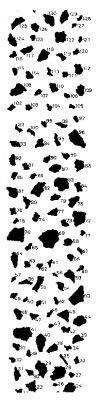 SG7 Particle Analysis Test/Calibration Slide Only (No Certification) - - alt view 1