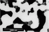 Silicon Nitride Membrane Window TEM Grids, 200um thick frames, 500nm thick window,0.5mm window, Low - - alt view 3
