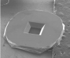 Silicon Nitride Membrane Window TEM Grids, 200um thick frames, 500nm thick window,0.5mm window, Low - - alt view 1