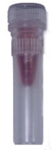 Conjugated Colloidal Gold Probes