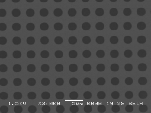 Silicon Nitride, Perforated Grids