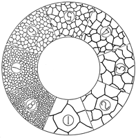 Metallurgical applications