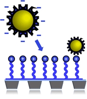 NanoPlus Grids