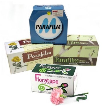 Parafilm