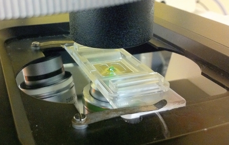 TEMVu Imaging Slide