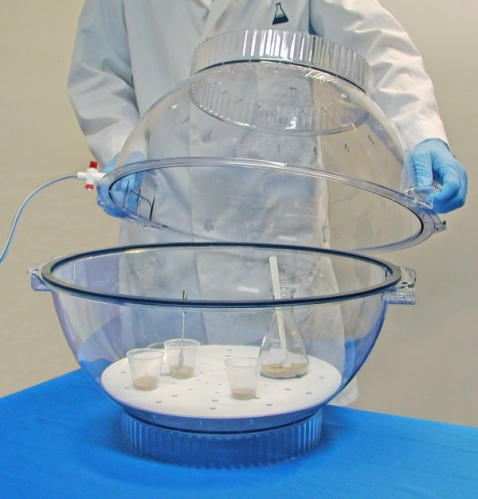 Vacuum Desiccators