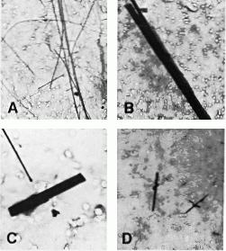 Asbestos Standards