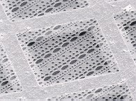 Quantifoil Nickel Grids