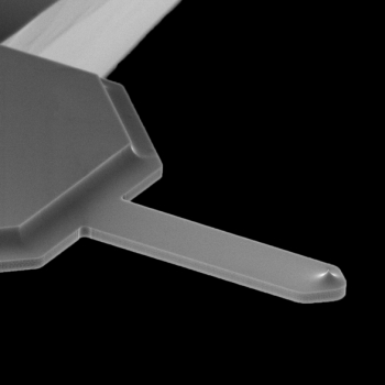 SPARK 350 Pt Conductive AFM Probes -  Pk 10
