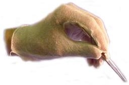 SPI Supplies Brand Cotton Gloves Regular Bag of 12 Pairs