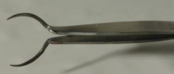 GSR (Gunshot Residue) SEM Mount Tweezers