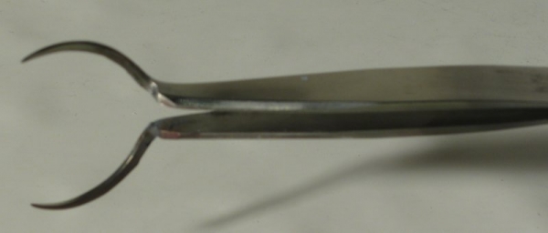 GSR (Gunshot Residue) SEM Mount Tweezers