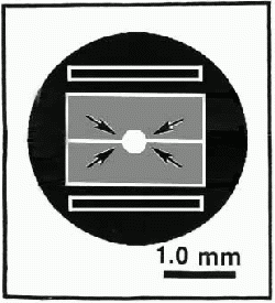 MAG*I*CAL Calibration Specimen for Transmission Electron Microscopes