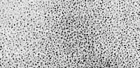 SPI Supplies Brand Platinum/Iridium on Carbon Astigmatism Checker Grid on 3.05 mm Copper Grid