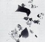 SPI Supplies Brand Boron Carbide TEM Test Specimen on 3.05 mm Copper Grid