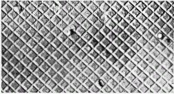 SPI Cross Line Grating Replica for TEM Magnification Calibration, on 3 mm Copper Grid