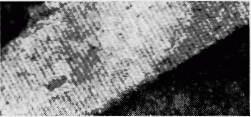 SPI Supplies Brand Catalase TEM Test Specimen on 3.05 mm Copper Grid