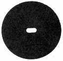 SPI Supplies Brand Molybdenum TEM Grids, 0.5x0.2 mm Slot Style, Pack of 100 Grids