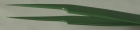 Style #5A Tweezers