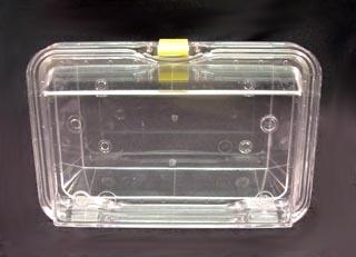 Elastic Membrane Boxes with Hinged Lids 50 x 50mm