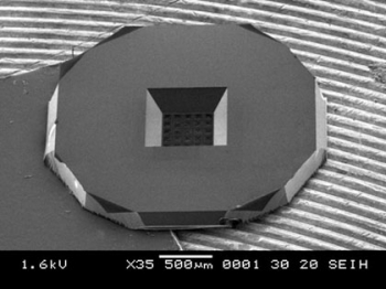 SPI Supplies Brand Silicon Nitride Membrane Window Grids, 2&micro;m Holes, Preforated, Pack of 10 Gr