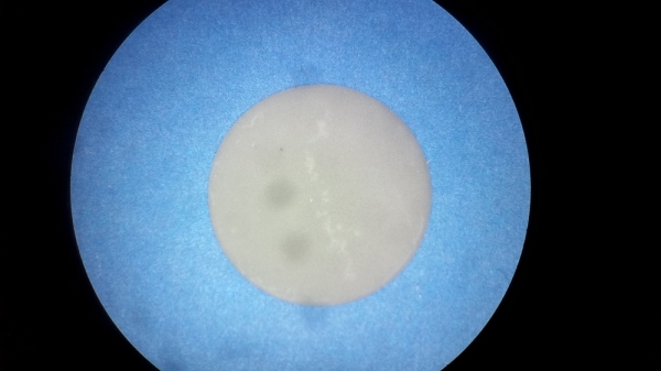 SPI Supplies Brand Diamond Planchet for EDS Analyses, 10 mm Diameter x 0.025 mm Thick
